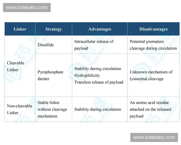围绕2017英超赛程表全面梳理赛季关键战役与看点解析深度呈现